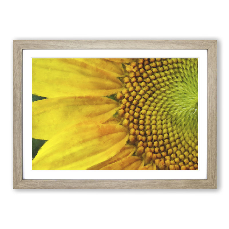 Petals of the Yellow Sunflower - Framed Print, Oak Framed, 45cm H x 63cm W x 2cm D