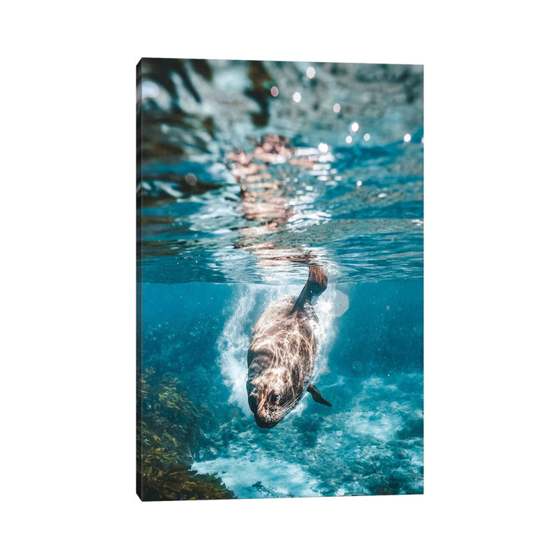 Underwater Playful Sea Lion Making Bubbles 1 Piece Wrapped Canvas Wall Art, 45.72cm H x 30.48cm W