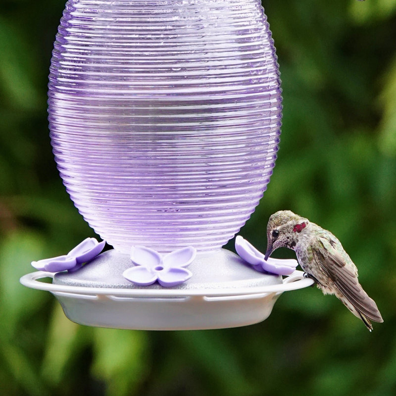 Mangeoire à colibris en verre Lilas Dreams