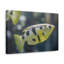 No Frame Print on Canvas-2021126423