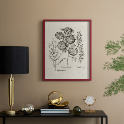 Reproduction florale vintage encadrée «Cccxxxii» - bois massif