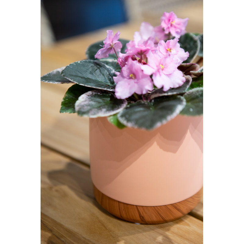 5.3 in. Madera Cylinder - Light Matte Blue, Light Matte Blue
