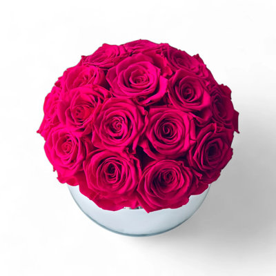 Preserved Roses Arrangement in Vase