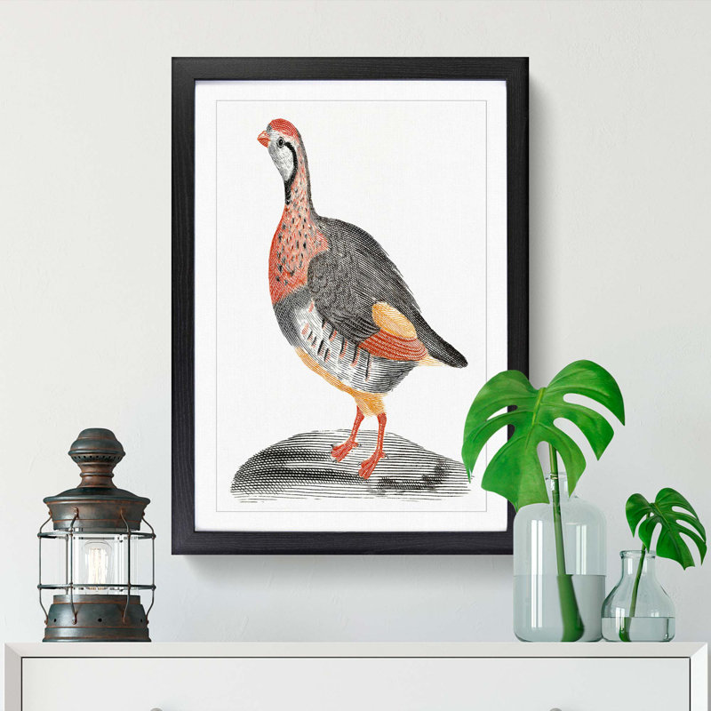 A Partridge by Johan Teyler - Single Picture Frame Painting, 33cm H x 24cm W x 2cm D, Black Framed