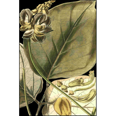 Feuilles tropicales tranquilles I