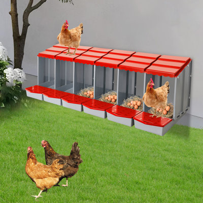 6-Compartment Chicken Laying Boxes With Egg Collection