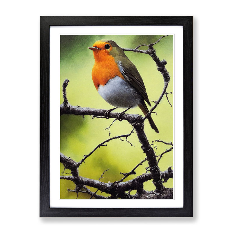 Tibbits Robin Bird Painting Vol.2 - Picture Frame Print, 64cm H x 46cm W x 2cm D, Black