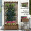 Elevated Planter-126331502