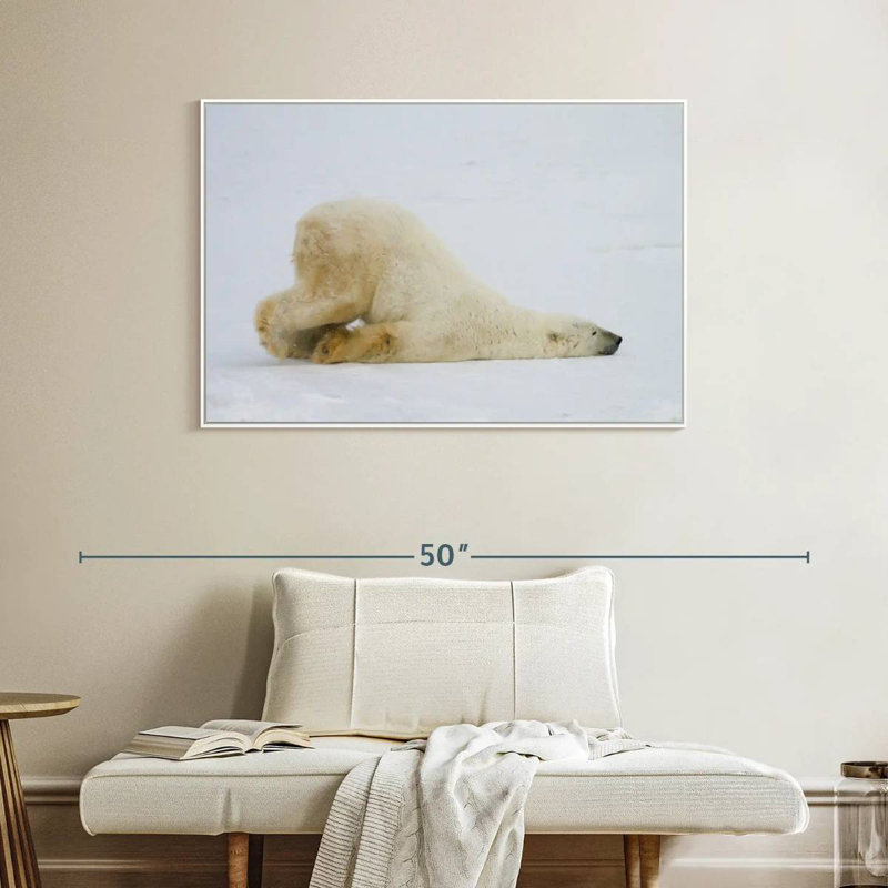 Ours polaire paresseux, Cadre flottant blanc, 40 po x 27 po