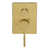 Brushed Brass est en rupture de stock