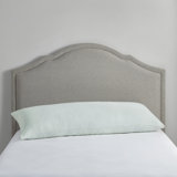 Rayon from Bamboo Shredded Memory Foam Pillow