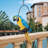 Paradise Parrot Wall Decor