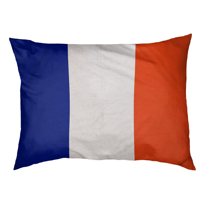 Coussin pour chien Indiana, Petit (l 28 po x P 18 po x H 6 po), Bleu / Blanc / Orange