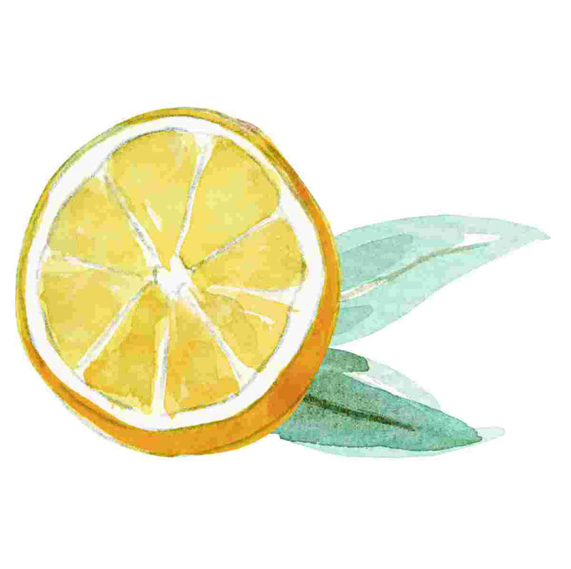 «Lemon Leaf Magnet», reproduction sur toile tendue, H 20 po x l 30 po