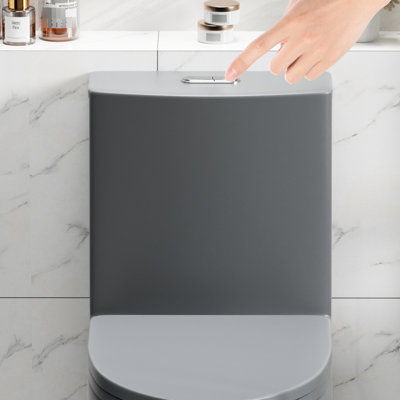 One Toilet With Dual Flush 001. 1.1/1.6 , Soft Close Seat. Water, Elongated Bowl. Height, Grey Ceramic Bathroom Regularization 001 Toilet. Flush, Height. For Systematization