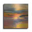 Art mural en métal luxueux «Blazing» par Patrick Dennis, 12 po x 12 po-1650438220