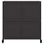 Buffet moyen rectangulaire en acier laminé à froid vidaXL 26,8 po x 15,4 po x 28,3 po