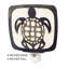 Coquille de mer tortue de nuit