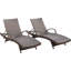 Billur Outdoor Chaise Lounge Set-246469361