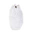 Vase abstrait abstrait en orme blanc
