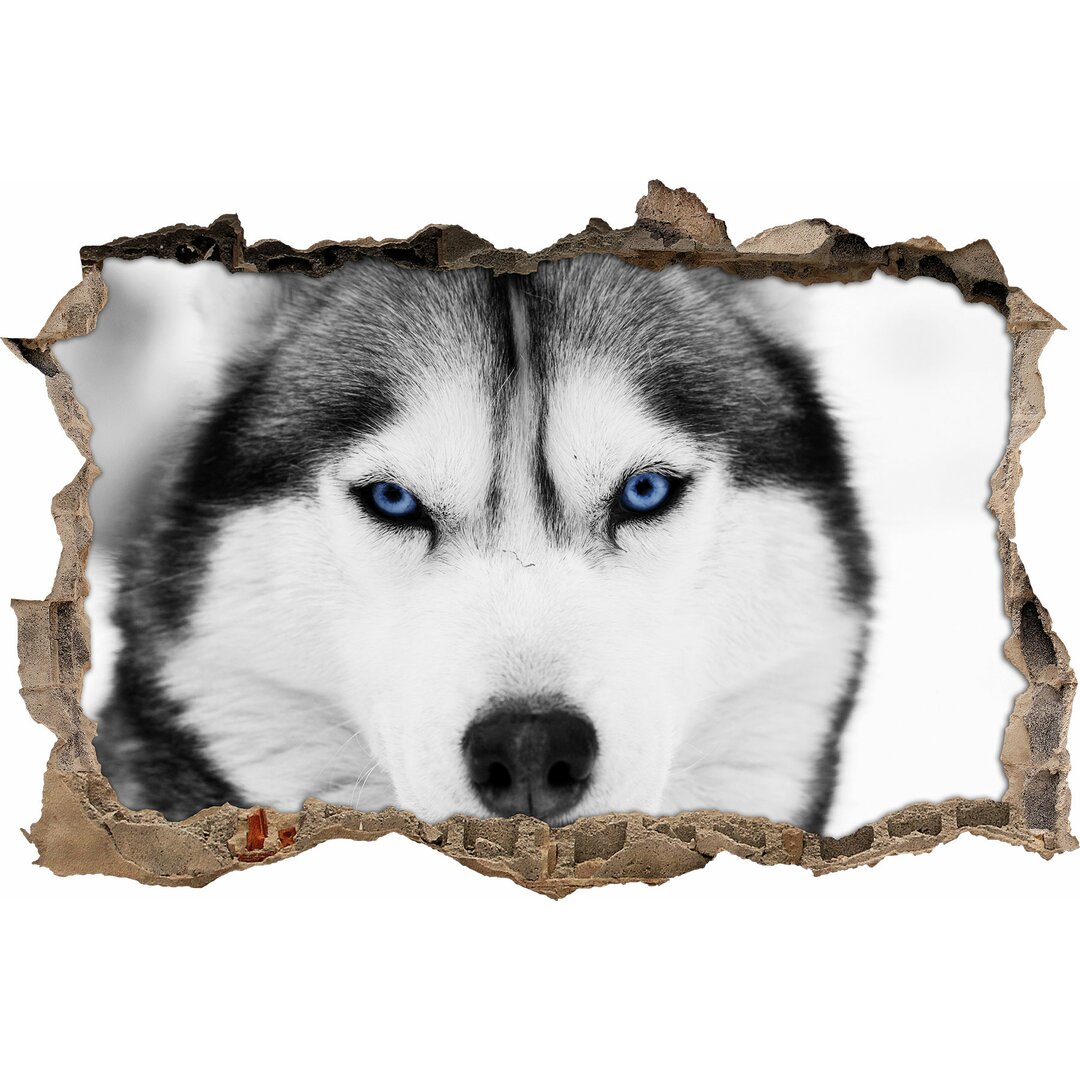 Wandtattoo Husky mit blauen Augen