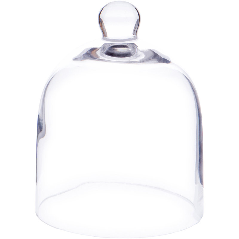 Bettzy Display Dome Cloche, 6" H x 5" W x 5" D
