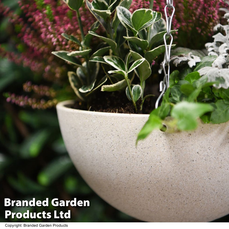 Paulet Hanging Planter