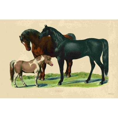 Chevaux 2884839