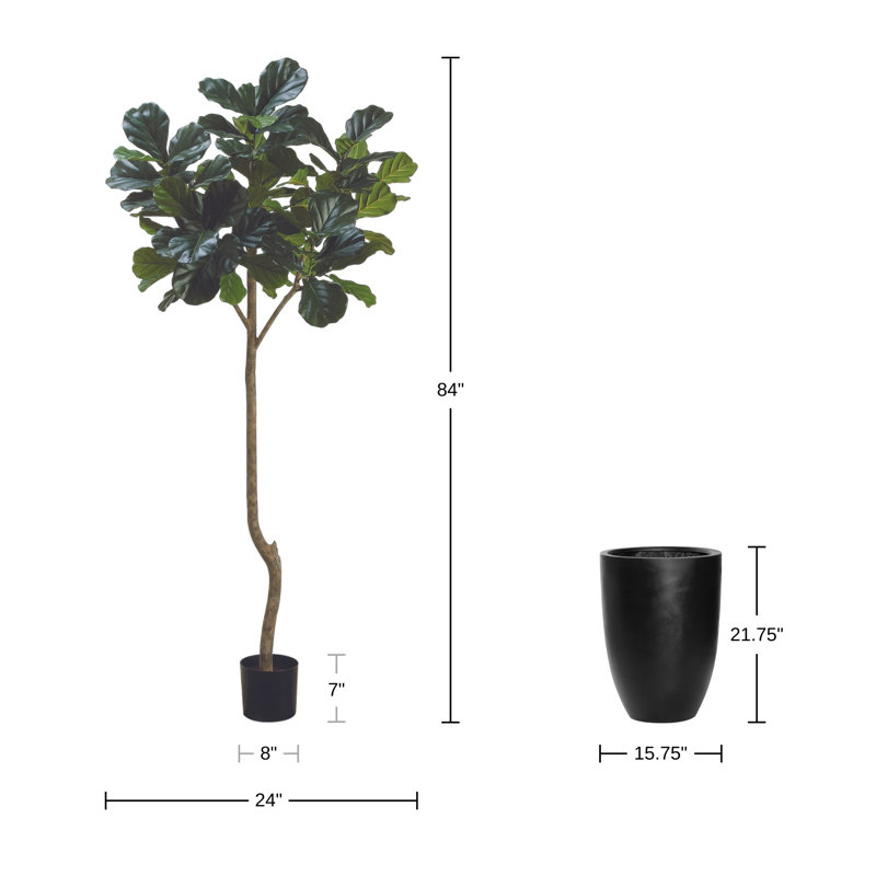 7' Fiddle Leaf Tree with Fiberstone Planter