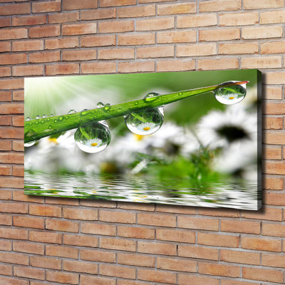 Drops On The Grass - Wrapped Canvas Print
