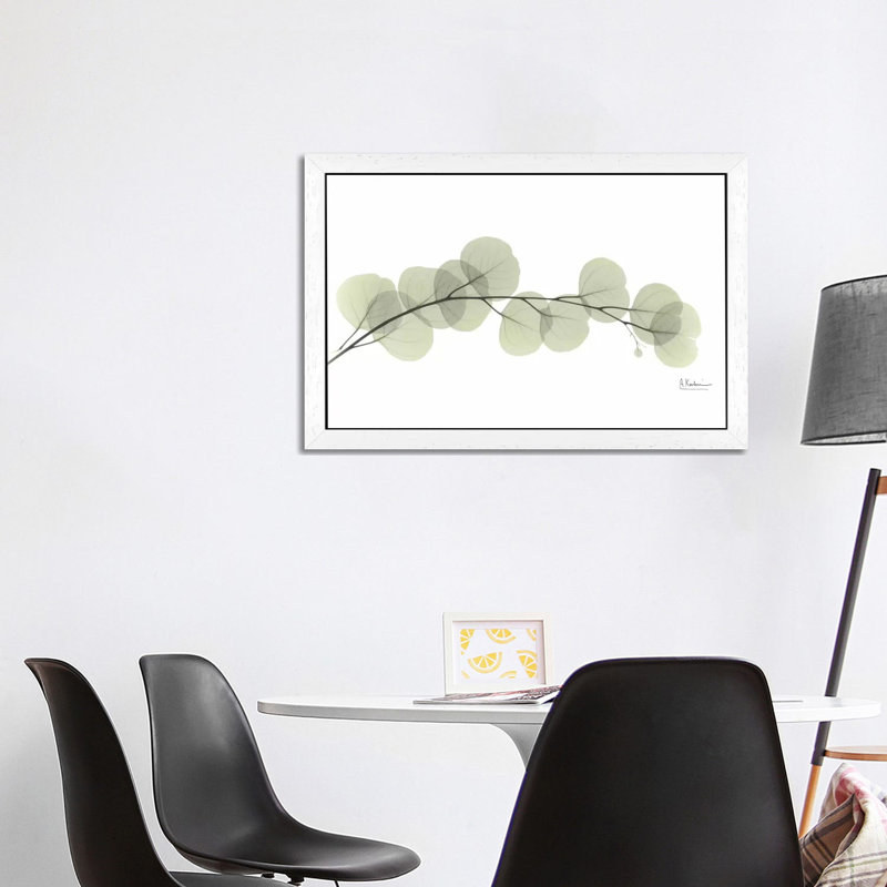 Eucalyptus by Albert Koetsier - Print on Canvas, 66.04 cm H x 45.72 cm W, White Floater Framed