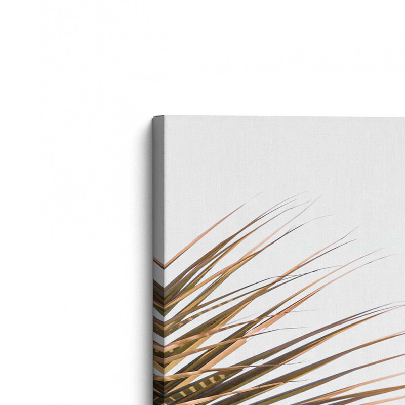 Palm Harmony Canvas Print, in a Polished Chrome Frame, 12" x 8", 12" H x 8" W x 1.25" D, Wrapped Canvas