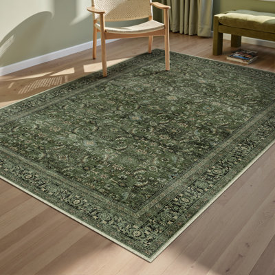 Goudeau Vintage Green Area Rugs For Living Room With Non-Slip Backing