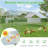 Derward 200 Square Feet Walk In Chicken Run with Chicken Run for up to 20 Chickens