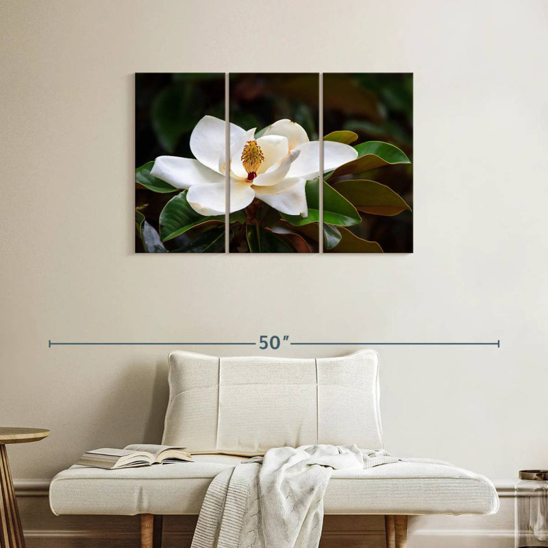 Harnek Southern Magnolia Blossom, 24" H x 38" W