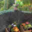 Photos des clients 1 de 1