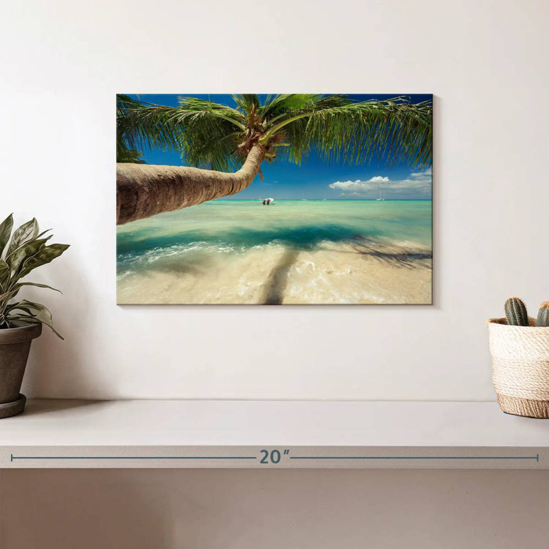 Palmier Gillard Caribbean Beach, H 8 po x l 12 po