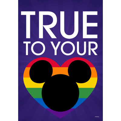 Disney True To Your Heart Everyday House Flag, 28" x 40", Officially Licensed Disney Product, Flag Stand Sold Separately