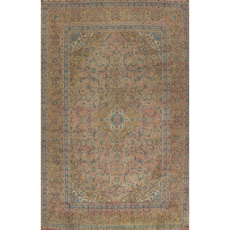 Traditional   Area Rug 10x13