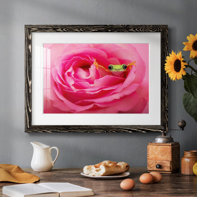 " Hanging On VIII " Painting Print