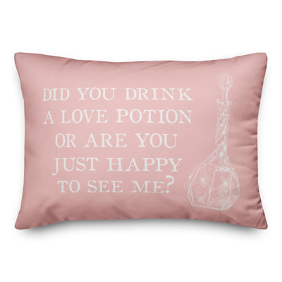  Housse et insert d'oreiller rectangulaire Love Potion