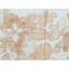 Floral Area Rug in White/Rust