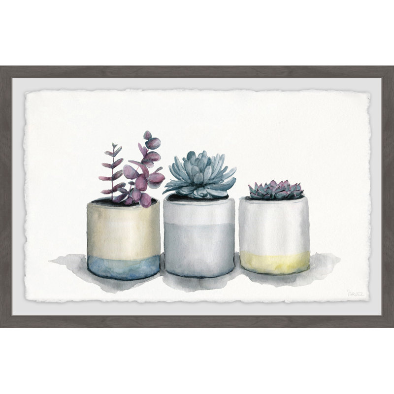 Three Potted Succulents by Parvez Taj - Single Picture Frame Painting, 20cm H x 30cm W