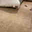 Photos des clients 1 de 1