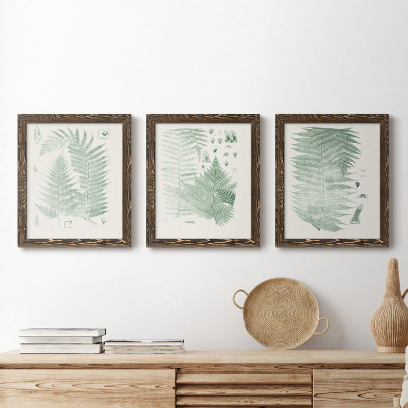 Verdure Ferns IV - ensemble de 3 peintures sur toile encadrées, Noyer, H 24 po x l 36 po x P 1,5 po