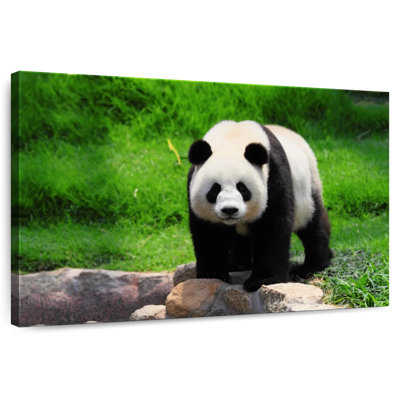 Crowle Strolling Panda