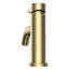 Robinet de lavabo à poignée simple Camile avec ensemble de bonde inclus-74067125