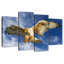 Brampt Hawk Attack