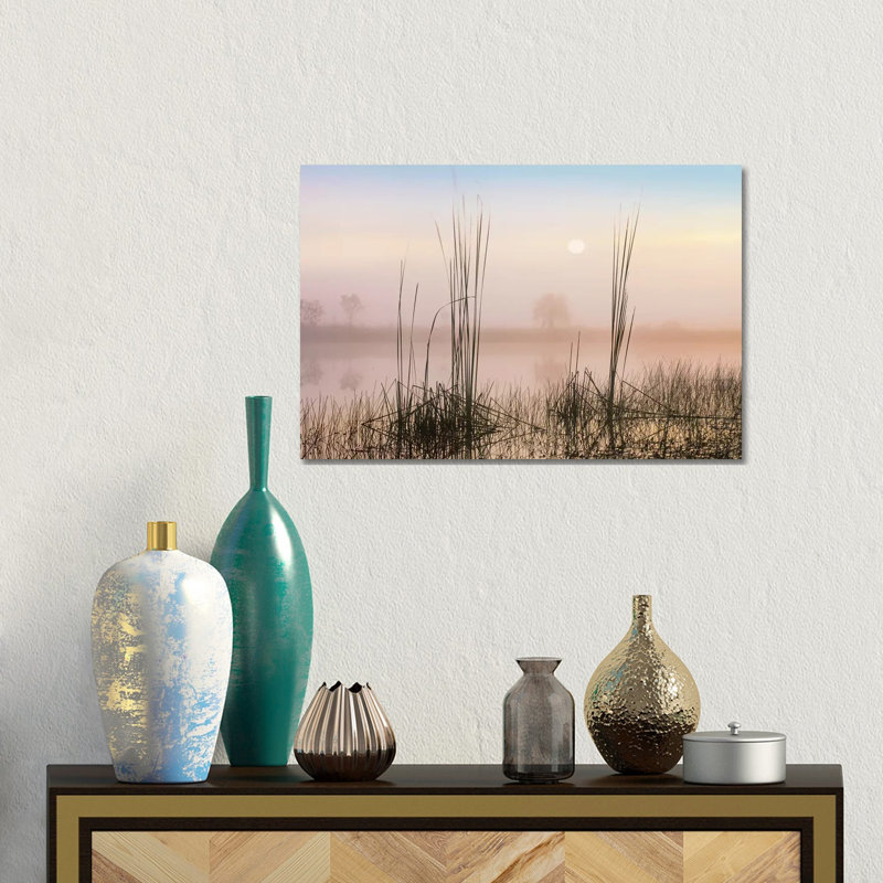 Reeds In Sweet Bay Pond, Everglades National Park, Florida by Tim Fitzharris - Wrapped Canvas Gallery-Wrapped Canvas Giclée