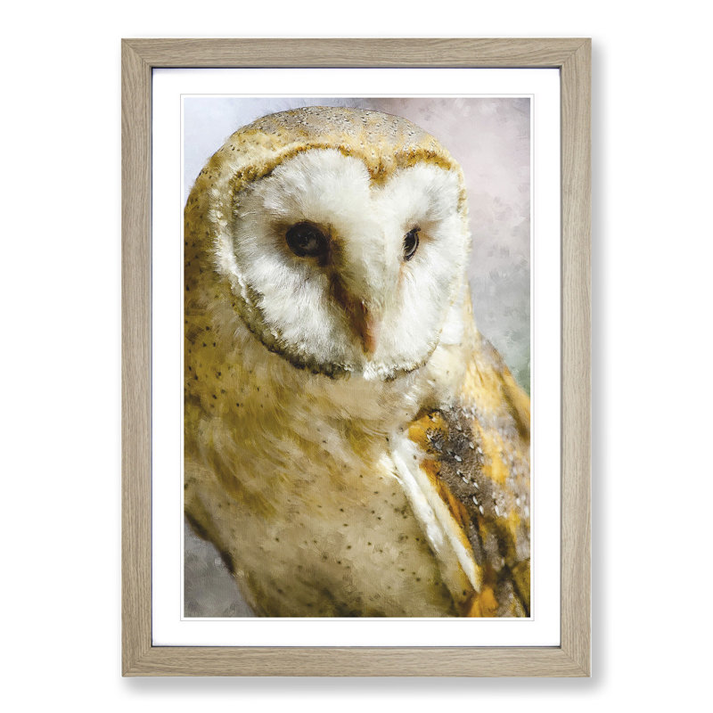 Barn Owl Vol.2 - Picture Frame Painting, 65cm H x 48cm W x 2cm D, Oak Framed